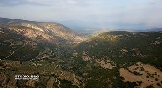 ΑΓΝΟ ΠΑΡΘΕΝΟ ΕΛΑΙΟΛΑΔΟ-thumb-1