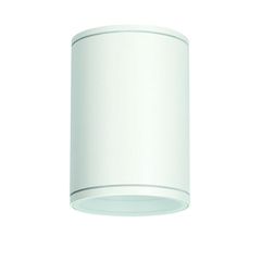 Φωτιστικό οροφής κυλινδρικό Ε27 PAR30 MAX35W 230V AC σε λεύκο-matt χρώμα κατάλληλο για εξωτερικό χώρο IP65