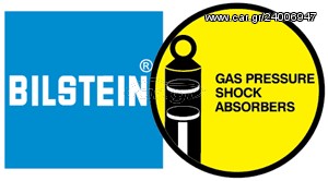 ROVER 600 ΑΜΟΡΤΙΣΕΡ ΠΙΣΩ BILSTEIN ΚΙΤΡΙΝΑ (75)