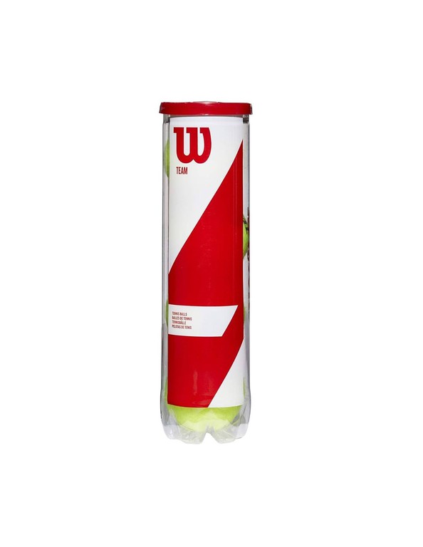 Wilson Team Practice Tennis Balls 4 pcs WRT111900