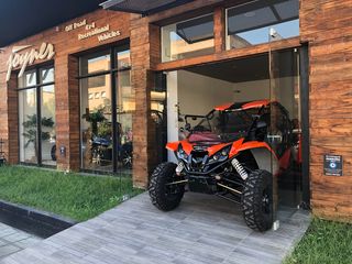 Joyner 2022 EURO 5 buggy by RENLI
