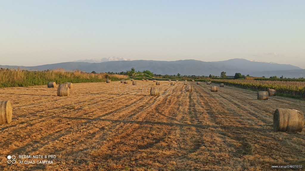 ΤΡΙΦΙΛΙΑ ΑΧΥΡΑ ΧΟΡΤΑ
