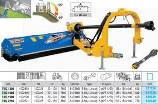 Cutter-Grinder Zanon 2025 Πλευρικό Καταστροφέας TMC
