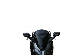 ΖΕΛΑΤΙΝΑΚΙ HONDA FORZA 125-300 2019 FUME FACO