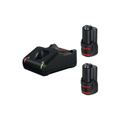 Basic Starter Set Φορτιστής GAL 12V-40 + 2 Μπαταρίες GBA 12V 2.0Ah - 12V - BOSCH (#1600A019R8)