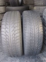 2TMX 185-65-14 SAVA ESKIMO S3 