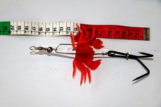 Αλιεία / Ψαροντούφεκο 2020-thumb-17