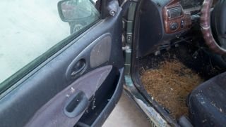FORD ESCORT 98'-thumb-7