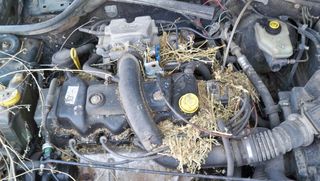 FORD ESCORT 98'-thumb-9