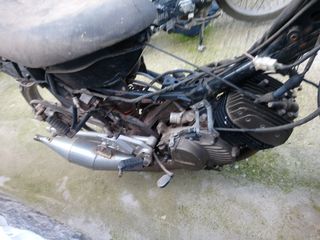 MODENAS DYNAMIC 1251-thumb-5
