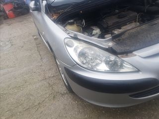 Peugeot 307  '04-thumb-2