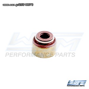 ΛΥΡΗΣ WSM MERCURY 75 / 80 / 90 / 100 / 115 HP 4-STROKE 2000-2006 ΤΣΙΜΟΥΧΑΚΙ ΒΑΛΒΙΔΩΝ, 26-804136, 120-102