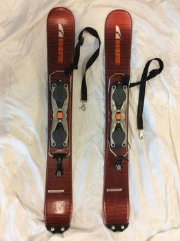 Salomon '19 snowblades SB ten