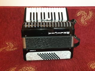 ΑΚΟΡΝΤΕΟΝ ΜΑΘΗΤΙΚΑ - ΠΑΙΔΙΚΑ ΑΚΟΡΝΤΕΟΝ -thumb-112