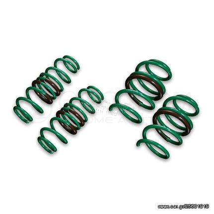 TEIN Stech Springs for Honda CIVIC (FN2,TYPE R,2007-2011 FWD)