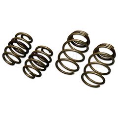 TEIN High Tech Springs for Nissan JUKE (YF15,15RX, 15RS,2010.06+ FWD)