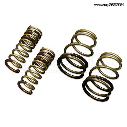 TEIN High Tech Springs for Subaru LEVORG (VM4,1.6GT-S EYE SIGHT,2014.06+ AWD)