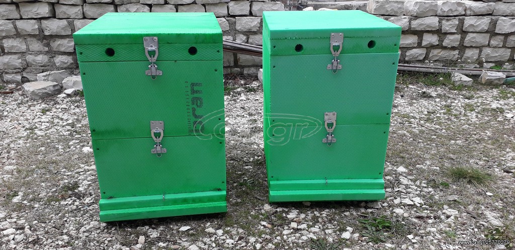 Κυψέλες 10 πλαισίων 