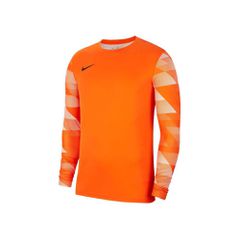 Nike Dry Park IV CJ6066-819 Ανδρική Φανέλα Τερματοφύλακα Ποδοσφαίρου