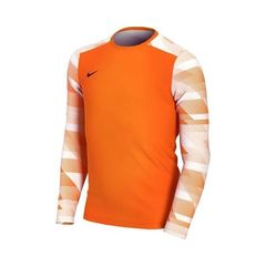Goalkeeper jersey Nike Dry Park IV JSY LS JR CJ6072-819