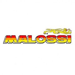 ΤΣΙΜΟΥΧΑ ΒΑΡΙΑΤΟΡ MALOSSI Ø 31x38x4