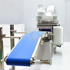 Μεταφορικές Ταινίες PVC - PU Τροφίμων-thumb-6