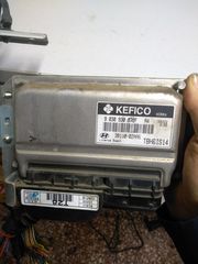  Εγκέφαλος + Κίτ