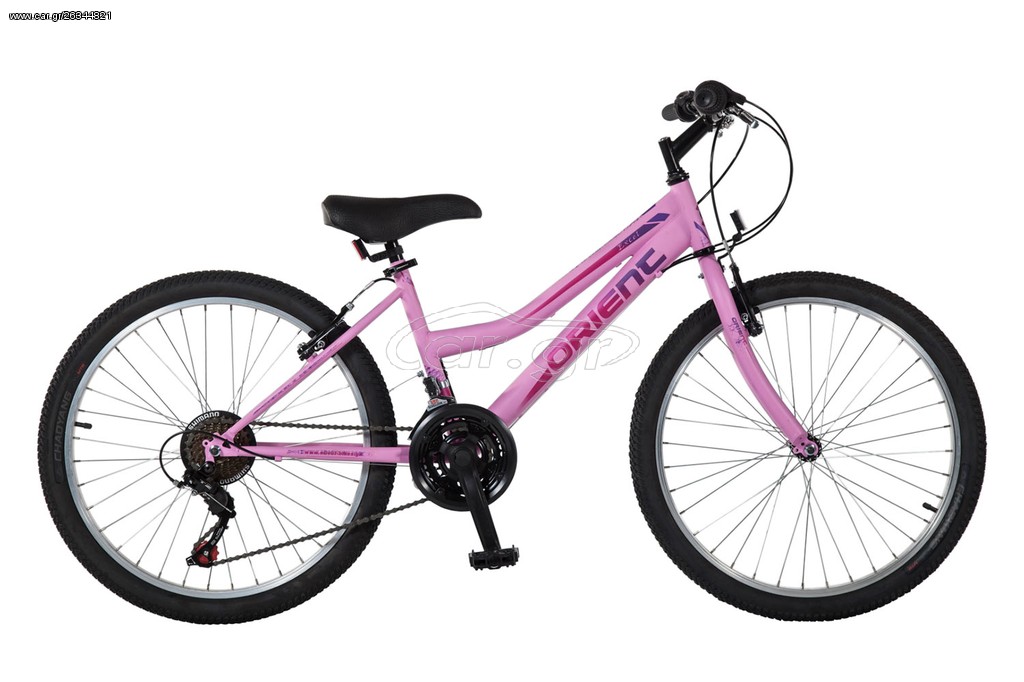 All - Mountain Orient 2021 EXCEL 24″ lady 21sp.
