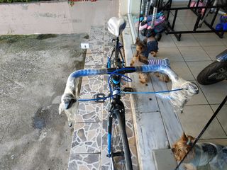 Δρόμου - Κούρσας Capriolo 2025 firebird-v2-thumb-5
