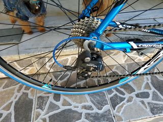 Δρόμου - Κούρσας Capriolo 2025 firebird-v2-thumb-6