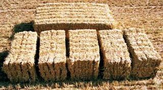Πρέσες Krone 2005 BigPack 1270 Multi-Bale-thumb-11
