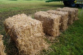 Πρέσες Krone 2005 BigPack 1270 Multi-Bale-thumb-12