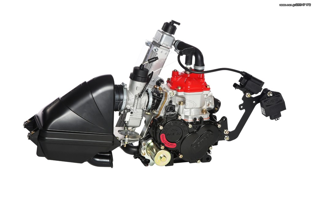 Ανταλλακτικά Rotax 2019 125 Mini