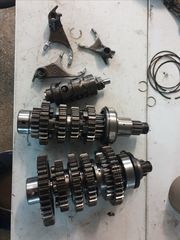 Σασμαν triumph 955