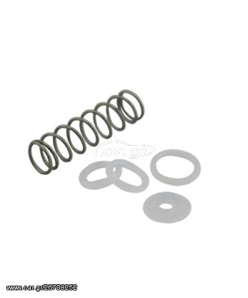 Ελατήριο Rhino Spinjet Valve Service Gasket Kit