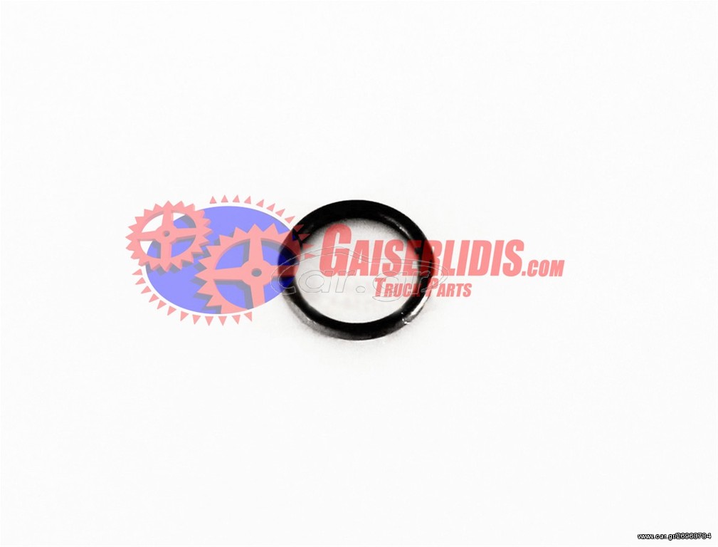 O-Ring 17281981