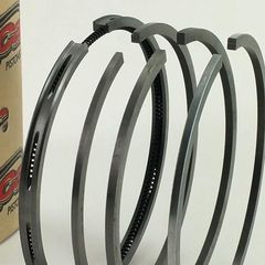 Ελατήρια Πιστονιού για RUGGERINI CRD100, P101, RP170, RP178, RP320, RP328 (100.5mm)