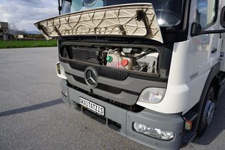 Ψυγείο Mercedes-Benz 2012 1224 ATEGOII EURO5-ΨΥΓΕΙΟ-ΚΑΤΑ-thumb-21