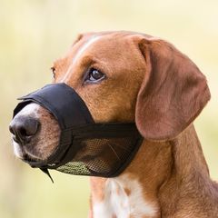 Φίμωτρο Trixie Muzzle Net Insert Extra Small-Small / Περ. Εσωτ. Ρύγχους 15- 20cm / Μήκος στο επάνω μέρος της μουσούδας: 3.7cm