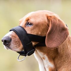 Φίμωτρο Trixie Muzzle Loop, Medium/Large, Ζώνη Λαιμού:30-18 cm / Περ. Εσωτ. Ρύγχους:22 -30cm για ασφάλεια και προστασία