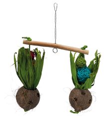 Trixie Παιχνίδι Τραμπάλα με Καρύδες - Διαστάσεων: 30X50cm