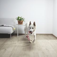 LVT Βινυλικό Δάπεδο Quick-Step Pulse Click Plus PUCP40105