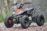 Dirt Motos '21 Mini Racing quad -thumb-21