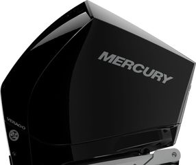 Mercury 2026 250 VeradoV8 4,6L AM DTS-thumb-3