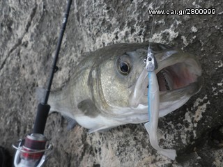 Ανταλλακτικά-Αξεσουάρ 2015 3 Rapala Raglou Silicone lure-thumb-16