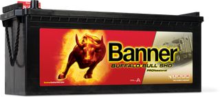 Μπαταρία φορτηγού Banner Buffalo Bull 64503 SHD PROfessional 145AH 800EN Α-Εκκίνησης