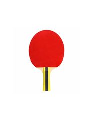 Cornilleau Sport 434000 table tennis bats