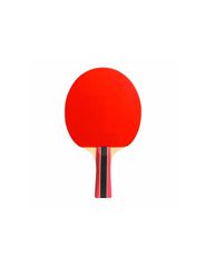 Cornilleau Sport 433000 table tennis bats