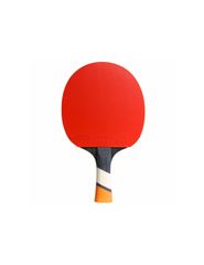 Cornilleau Perform 428000 table tennis bats