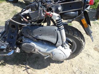 PIAGGIO TYPHOON 50-thumb-2